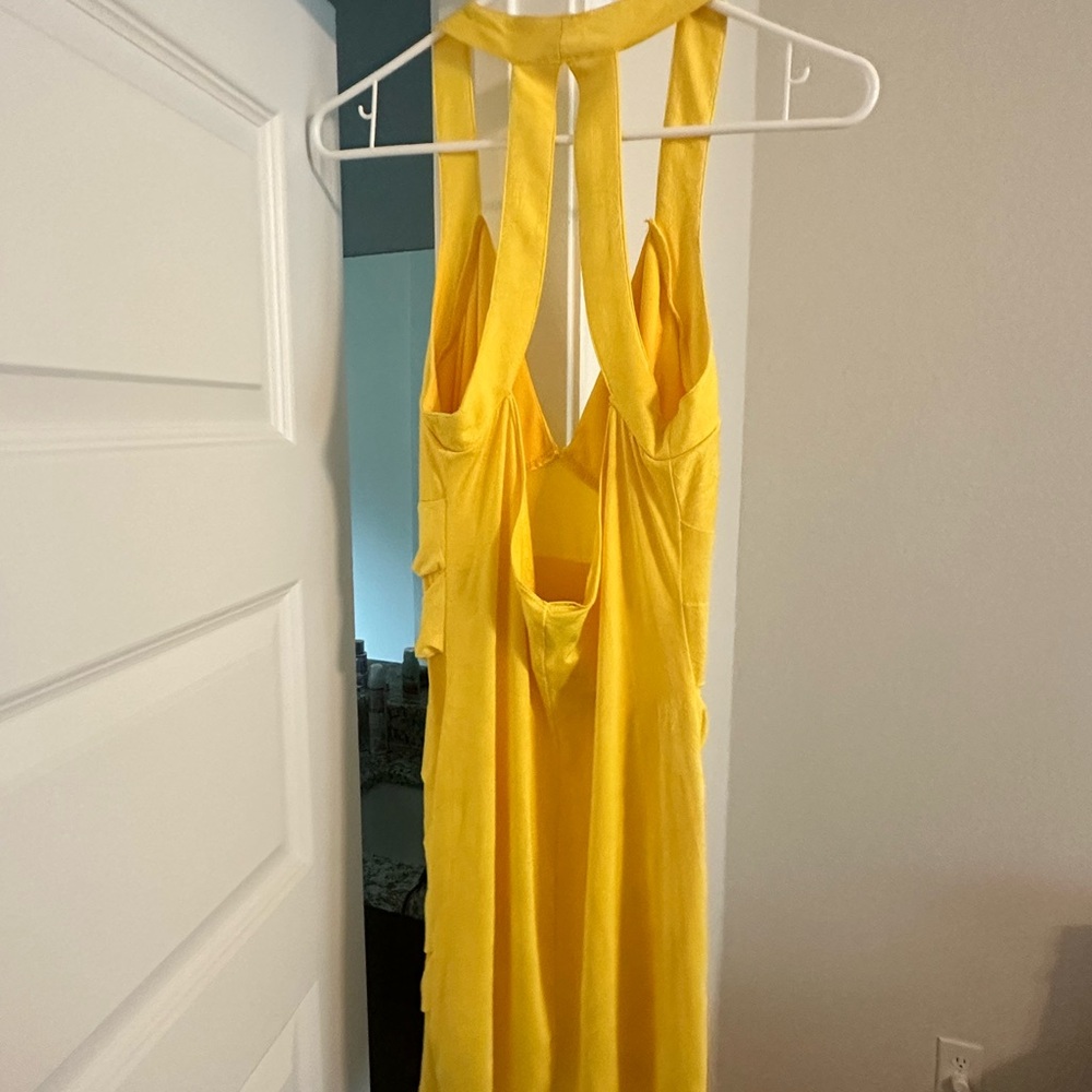 NWT Windsor dress